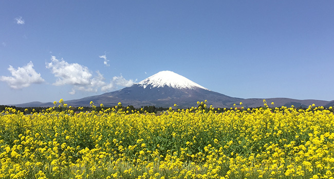 静岡県のイメージ